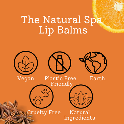 Spiced Orange Lip Balm | All Natural | 15g