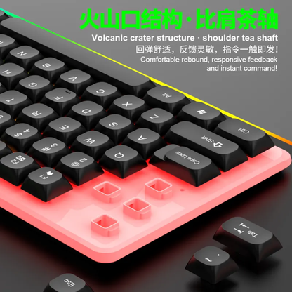 Wired LED Gaming RGB Keyboard & Mouse Combo Set for PC & Laptop